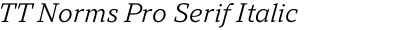 TT Norms Pro Serif Italic